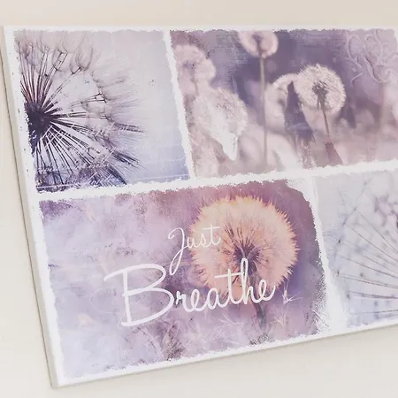 Kiebitz Dornumersiel