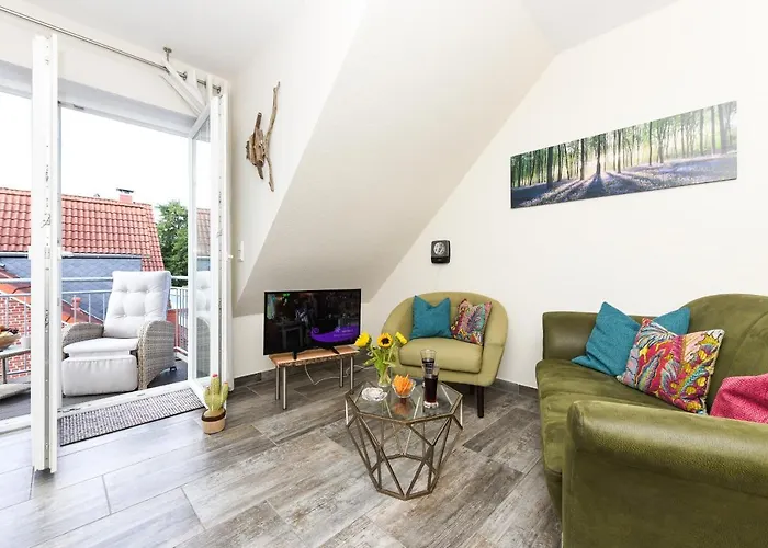 Kiebitz 多纳莫塞尔