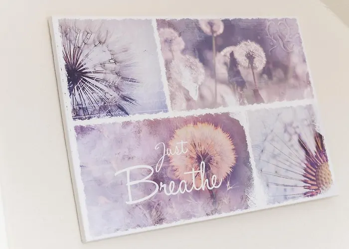 Kiebitz 多纳莫塞尔