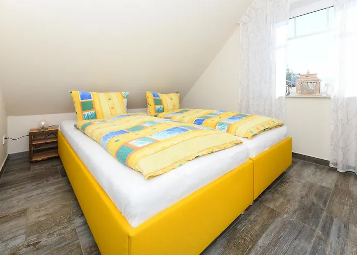 Kiebitz 多纳莫塞尔