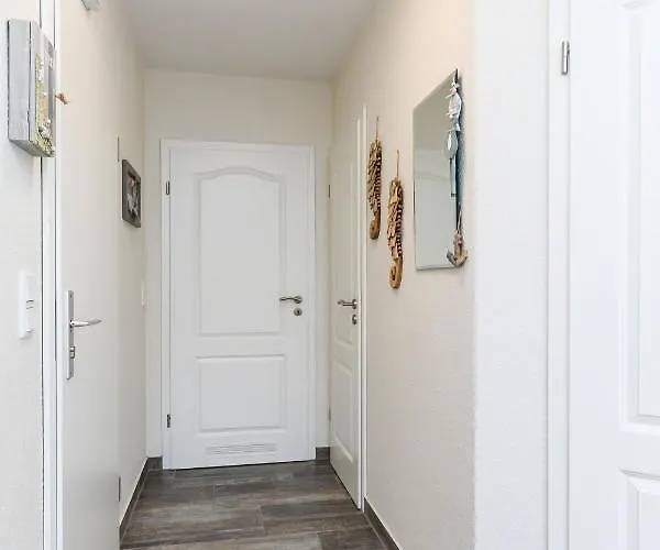 Kiebitz 多纳莫塞尔